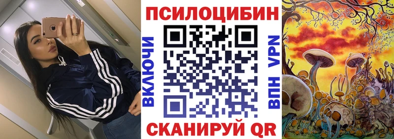 Галлюциногенные грибы Psilocybine cubensis  KRAKEN   Кемерово 